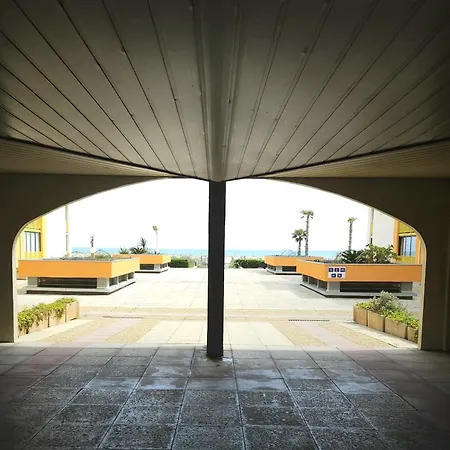 Bel Face A La * Le Barcarès